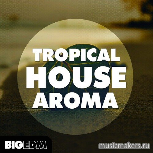 Big EDM - Tropical House Aroma (MIDI, WAV, SERUM, SYLENTH1, SPIRE)