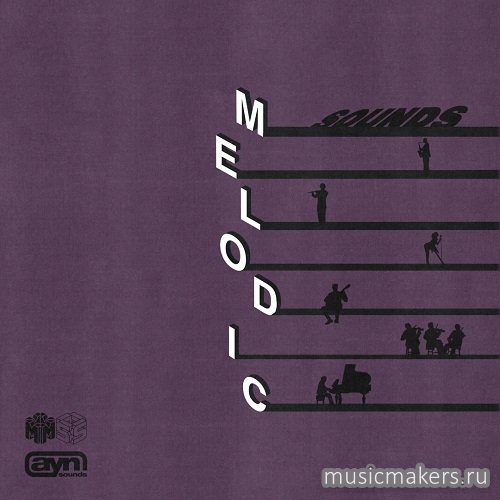 AYN Sounds - Melodic Sounds (WAV)