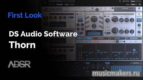 Plugin Alliance & Dmitry Sches - DS Thorn v1.3.3 VSTi, VSTi3, AAX x64 TCD