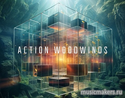 Native Instruments - Action Woodwinds (KONTAKT)