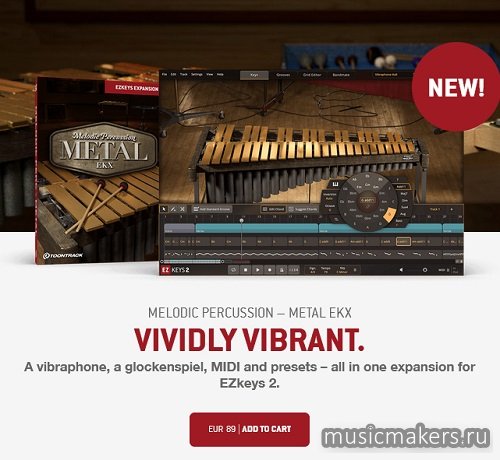 Toontrack - MELODIC PERCUSSION - METAL EKX (SOUNDBANK)