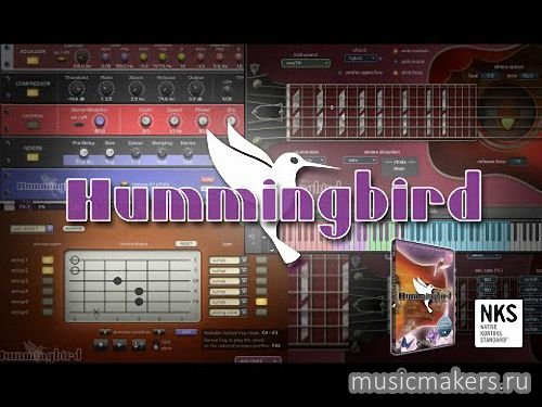 Prominy - Hummingbird v1.26 (Update Only) (KONTAKT)