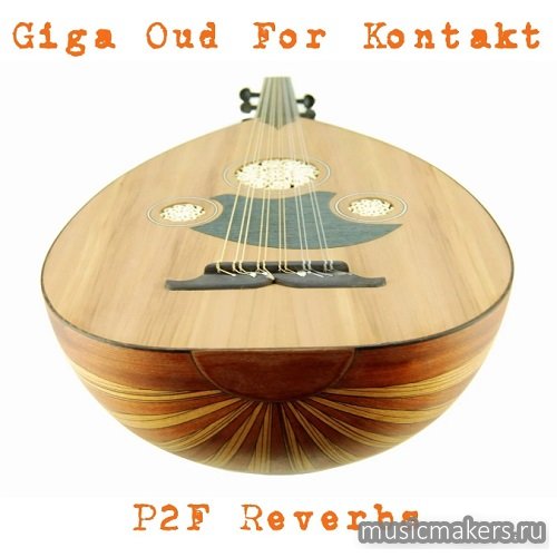 Past to Future Reverbs - Giga Oud (KONTAKT)