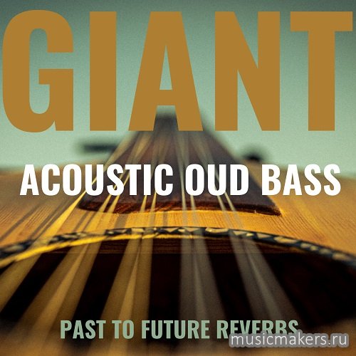 Past to Future Reverbs - Giant Acoustic Round-Back Fretless Bass (KONTAKT)