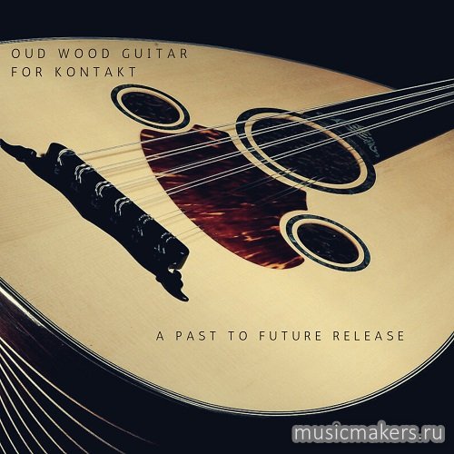 Past to Future Reverbs - Oud Wood Guitar (KONTAKT)