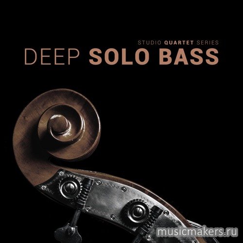 8Dio - Studio Quartet Series Deep Solo Bass (KONTAKT)