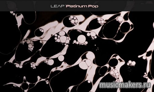 Native Instruments - Leap Platinum Pop (KONTAKT)