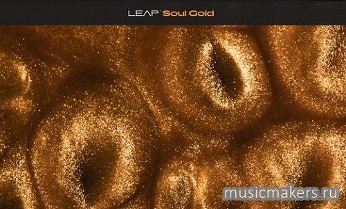 Native Instruments - Leap Soul Gold (KONTAKT)