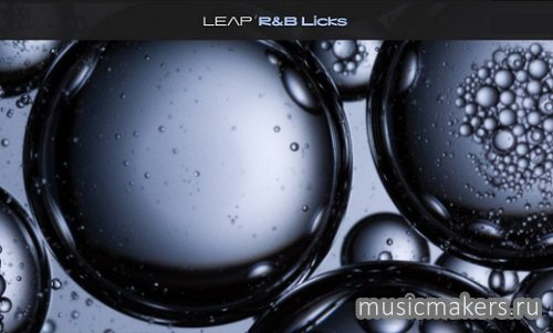 Native Instruments - Leap R&B Licks (KONTAKT)