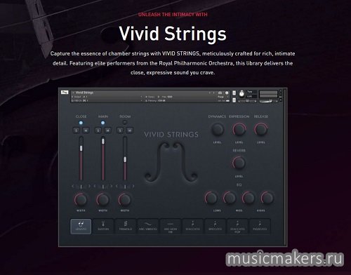 Pulse Audio - Vivid Strings Basses (KONTAKT)