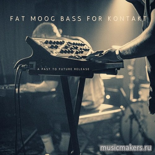 Past to Future Reverbs - Fat Moog Bass (KONTAKT)