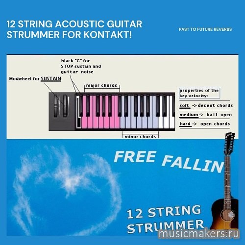 Past to Future Reverbs - Free Fallin 12-String Acoustic Strummer (KONTAKT)