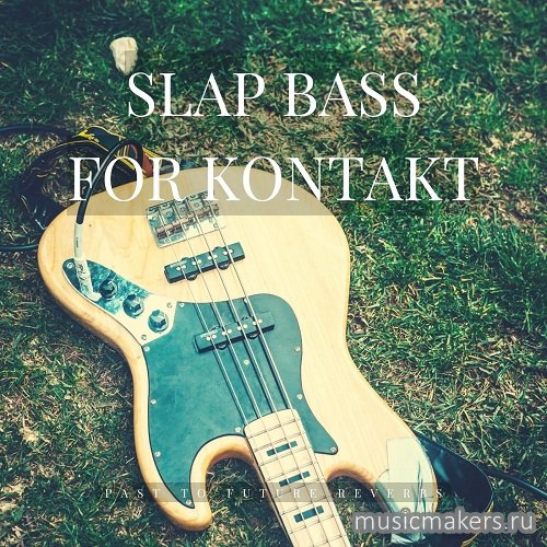 Past to Future Reverbs - Slap Bass (KONTAKT)