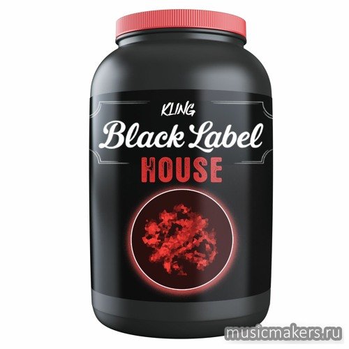 Kling Music - Black Label House Production Stack (FL Studio, SERUM, VITAL, WAV)