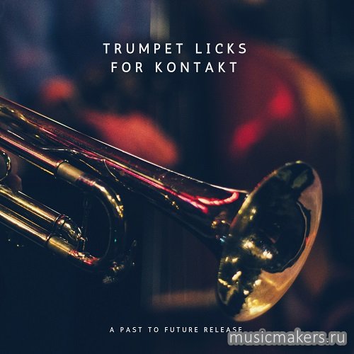 Past to Future Reverbs - Trumpet Licks (KONTAKT)