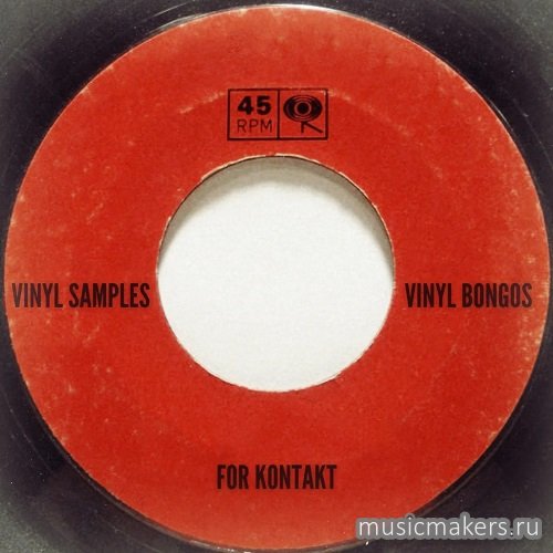 Past to Future Reverbs - Vinyl Bongos (KONTAKT, WAV)