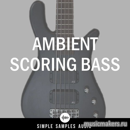 Simple Samples Audio - Ambient Scoring Bass 1.1.0 (KONTAKT)