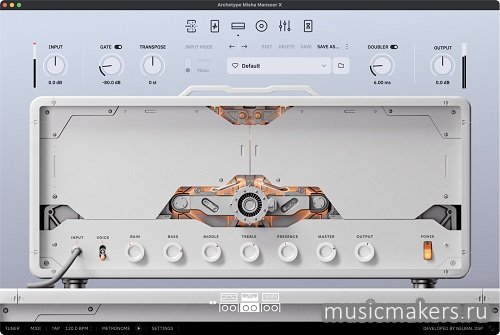Neural DSP - Archetype Misha Mansoor X v1.0.1 SAL, VST, VST3, AAX x64 [R2R]