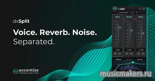 Accentize - dxSplit 1.0.0 VST3, AAX x64 [R2R]