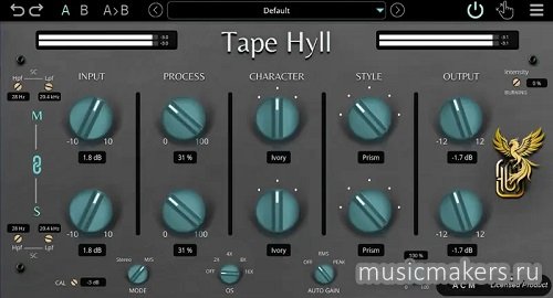 GARUC Audio - Tape Hyll v1.2.2 VST3, AAX x64 [MOCHA]