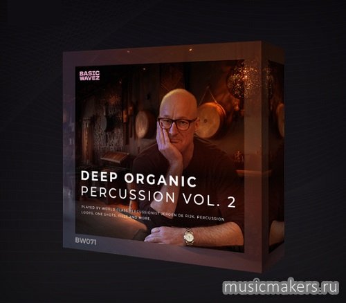 Basic Wavez - Deep Organic Percussion Vol. 2 (WAV)
