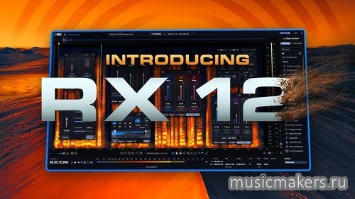 iZotope - RX 12 Audio Editor Advanced 12.0.0 VST3 x64 [29.04.2026] (R2R) (NO INSTALL)