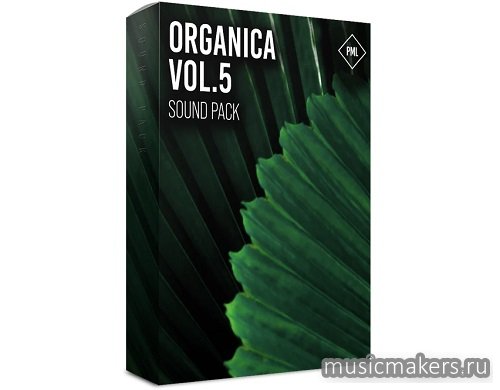 Production Music Live - Organica Vol. 5 - Full Production Suite (AIF, MiDi, WAV, Ableton, Diva)