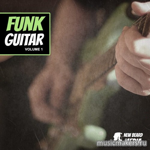 New Beard Media - Guitar Funk Vol.1 (WAV)